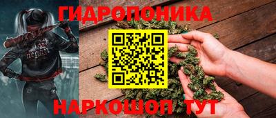 прущие грибы Краснодар