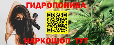 прущие грибы Краснодар