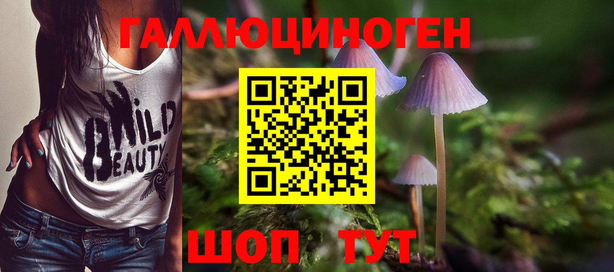 Кудымкар  Псилоцибиновые грибы мицелий  Вход с VPN 