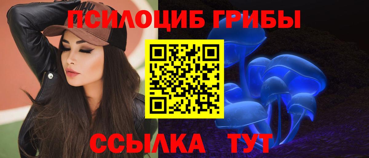 Галлюциногенные грибы мицелий Кудымкар